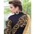 Cream Colour embroidered net saree with blouse