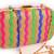 Multicolor clutches embroidered