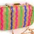 Multicolor clutches embroidered