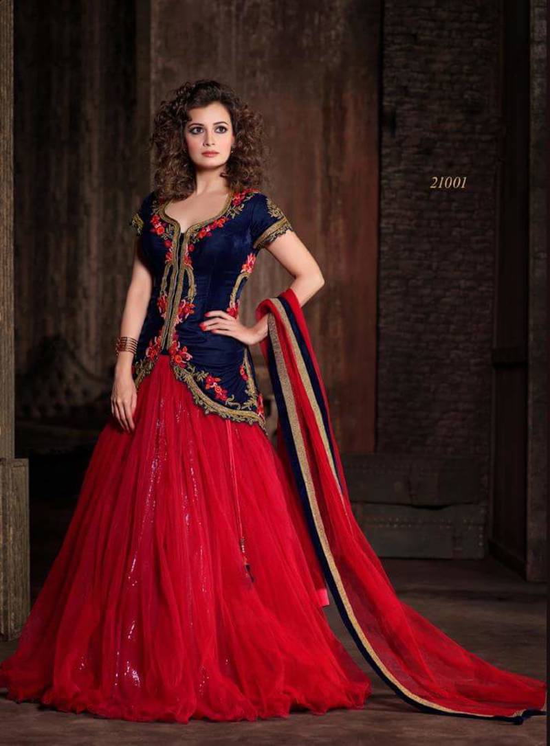 Red and blue net embroidered semistitched salwar with dupatta