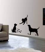 Dogs at play