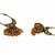 Golden Jhumka Hoop Earrings with brown Beads
