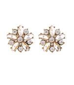 Crystal Twinkling Earring