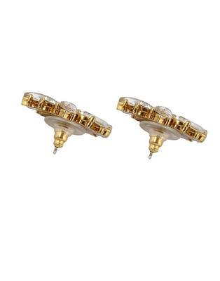 Crystal Twinkling Earring 2