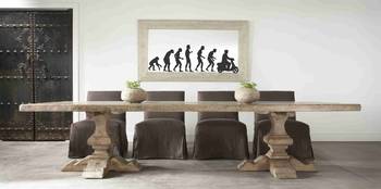 Medium Modern Evolution Wall Decal Modern Graphic 1