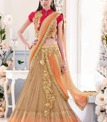 Chiku and  shaded orange embroidered net saree with blouse