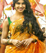 Priyanka Chopra Gundey Bollywood Replica Saree