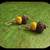 ethnic yellow earrings