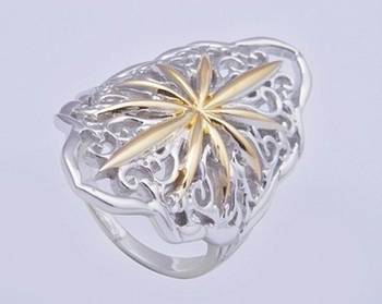 Silver  Rings 1