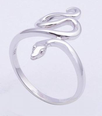 Silver  Rings 1