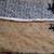 Jacklin Farnandis Bollywood Replica Saree