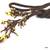 Gold and brown Lariat