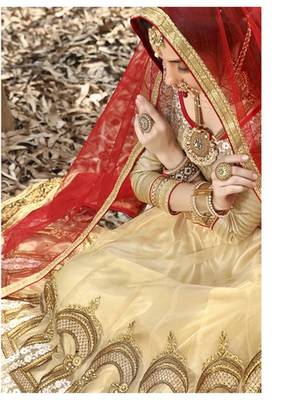 Beige Embroidered Net Unstitched Lehenga Choli 2