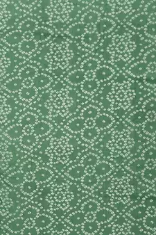 Green Bandhej Print Saree Without Blouse