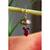 Kundan encrusted jhumki earrings