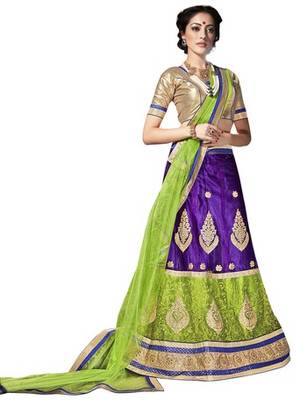 Multicolor embroidered net lehenga choli 1