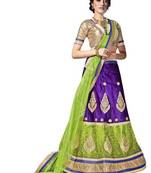 Multicolor embroidered net lehenga choli