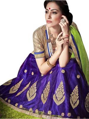 Multicolor embroidered net lehenga choli 2