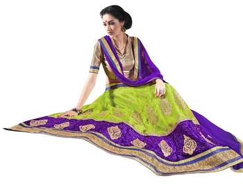 Multicolor embroidered net lehenga choli 1
