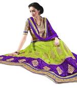 Multicolor embroidered net lehenga choli