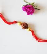 Orange Rudraksh Rakhi