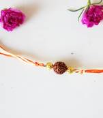 Orange Rudraksh And Gold Rakhi