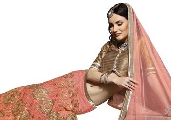Peack embroidered net lehenga choli 2