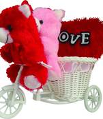 Cute Multi Teddybear Sitting On Pink Cycle Valentine Gift Set