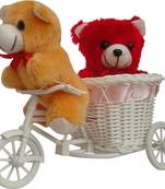 Cute Couple Teddy Sitting In Pink Cycle Valentine Gift Set