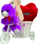 Cute Couple Teddy Ridding On Basket Cycle Valentine Gift Set