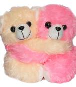 Cute Hug Twin Soft Toy Teddy Bear Couple