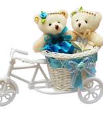 Cute Bubbly Teddy Girls Love Basket Cycle Valentine Gift Set