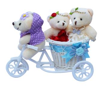 Cute Bubbly Teddybear Basket Cycle Valentine Gift Set 1