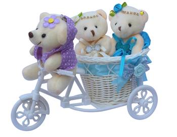 Cute Bubbly Teddybear Basket Cycle Valentine Gift Set 1
