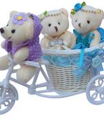 Cute Bubbly Teddybear Basket Cycle Valentine Gift Set