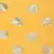 Yellow Chiffon Printed Saree