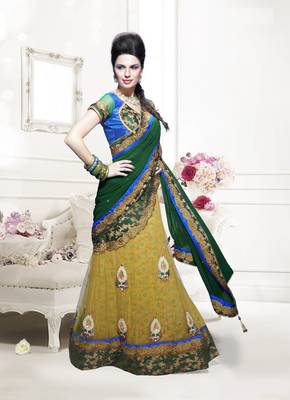 Green Embroidered Net Saree With Blouse 1