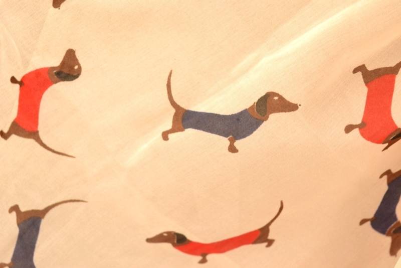 Designer quirky trendy printed multicolour scarf