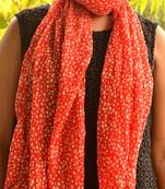 Designer quirky trendy printed multicolour scarf