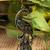 Antique Peacock Earrings(CFE0038)