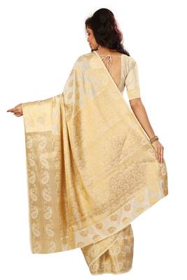 Chikoo woven tussar_silk saree With Blouse 2