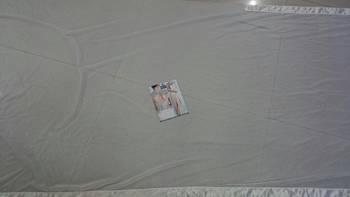 Light White Embroidered Georgette Saree With Blouse 2