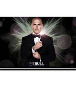 Pitbull Mr Worldwide Poster