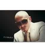 Pitbull Poster