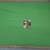 Green Embroidered Georgette Saree With Blouse