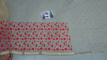 Cream And Red Embroidered Nylon Mono Net Saree With Blouse 2
