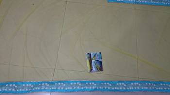 Yellow And Blue Embroidered Nylon Mono Net Saree With Blouse 2