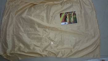 Parrot Green Embroidered Georgette Saree With Blouse 3