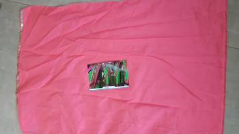 Parrot Green Embroidered Georgette Saree With Blouse 2