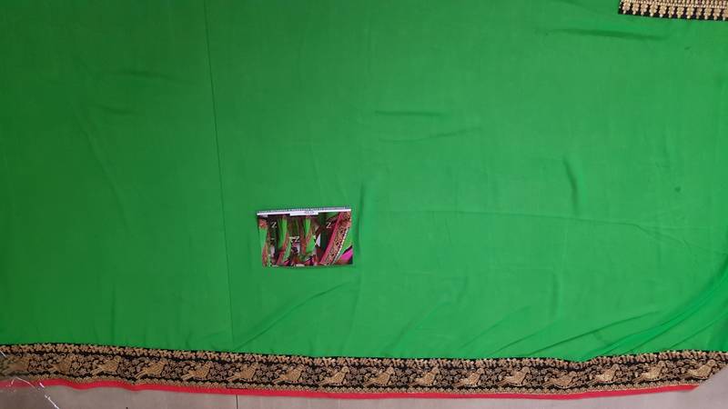 Parrot Green Embroidered Georgette Saree With Blouse